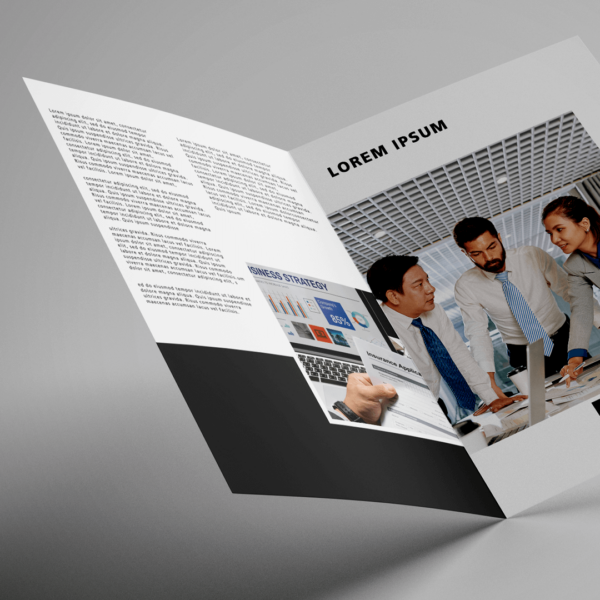 Custom Single Fold Brochure